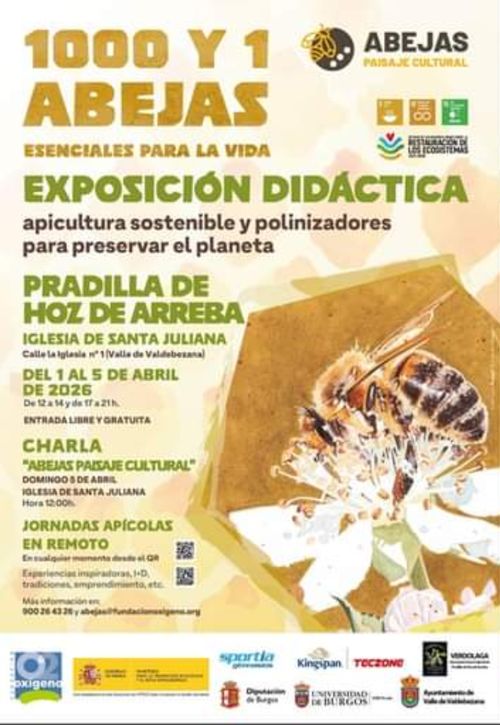 1000 Y 1 ABEJAS . EXPOSICIÓN DIDÁCTICA 